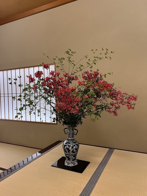 taka kanetanaka18.JPG